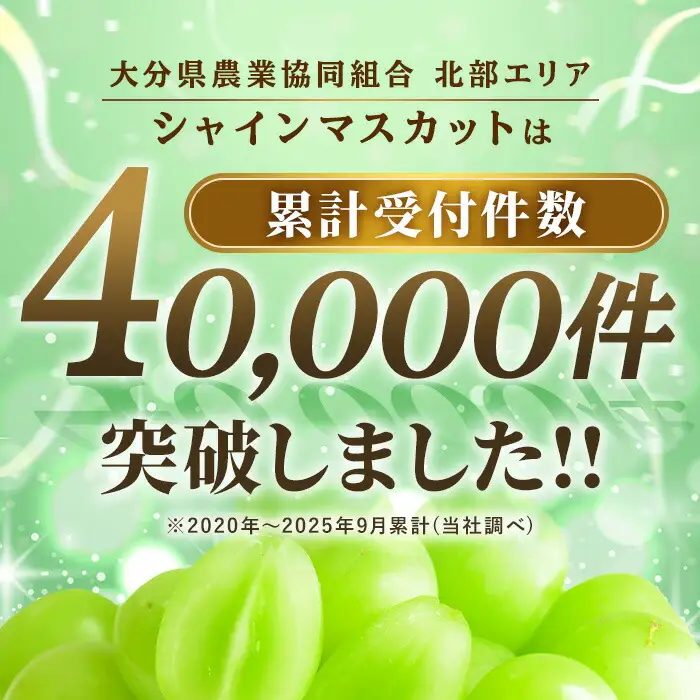 シャインマスカット 加温栽培(約2kg)シャインマスカット ぶどう 葡萄 フルーツ 果物 くだもの 果実＜先行予約受付中！2026年8月上旬から順次発送予定＞＜北海道、沖縄、離島配送不可＞【106300600】【大分県農業協同組合　北部エリア】