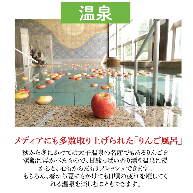 大子温泉 やみぞホテル 1泊2食付き ペア宿泊券＋袋田の滝 観瀑台 ペア入場券（AO002）