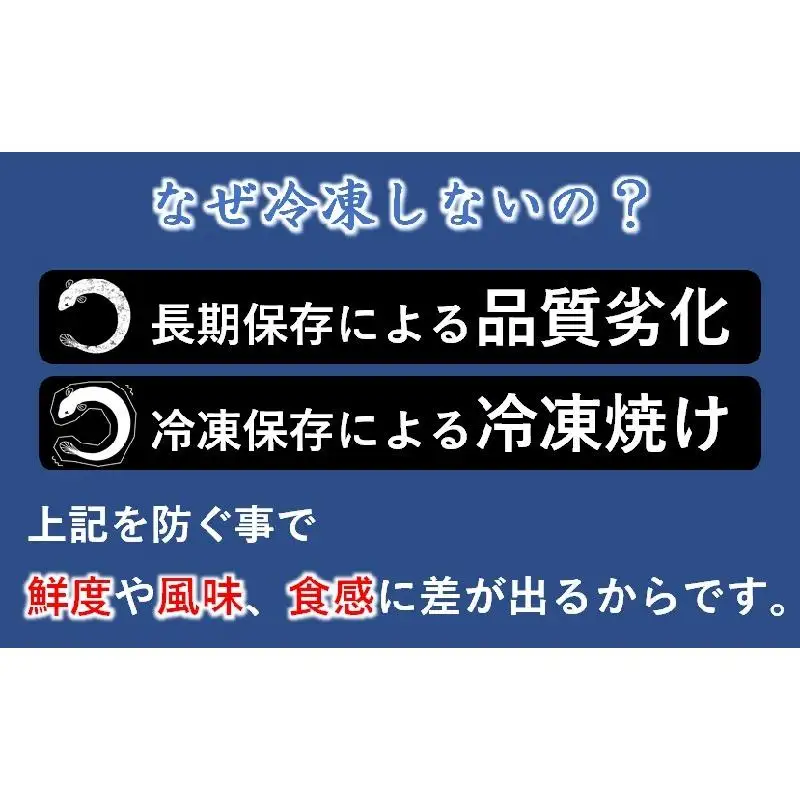 国産うなぎ蒲焼き 無頭3尾 熟成たれ付 明治27年創業 炭火焼一筋 老舗「うなぎの入船」＜13-3a＞