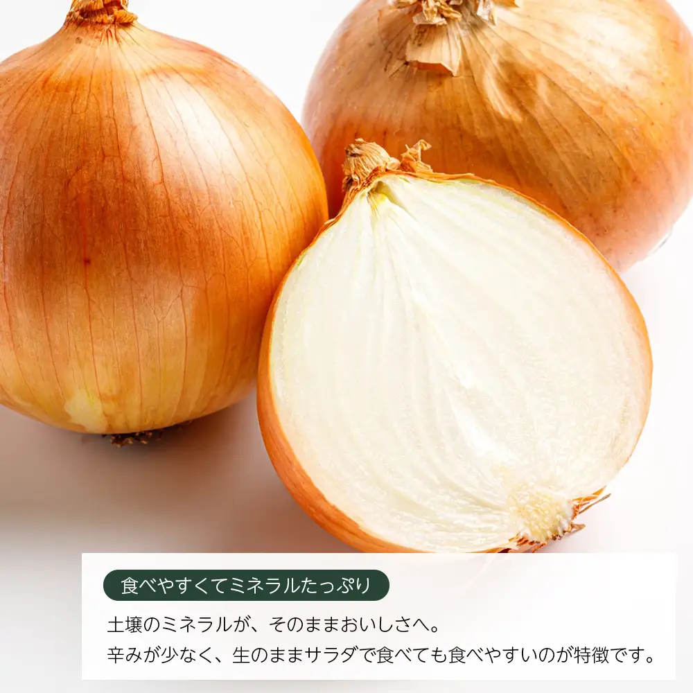 いざなぎ農園の淡路島玉ねぎ 10kg　玉ねぎ
