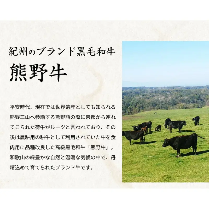 熊野牛 A4以上 霜降り ロース スライス 400g【uot765】