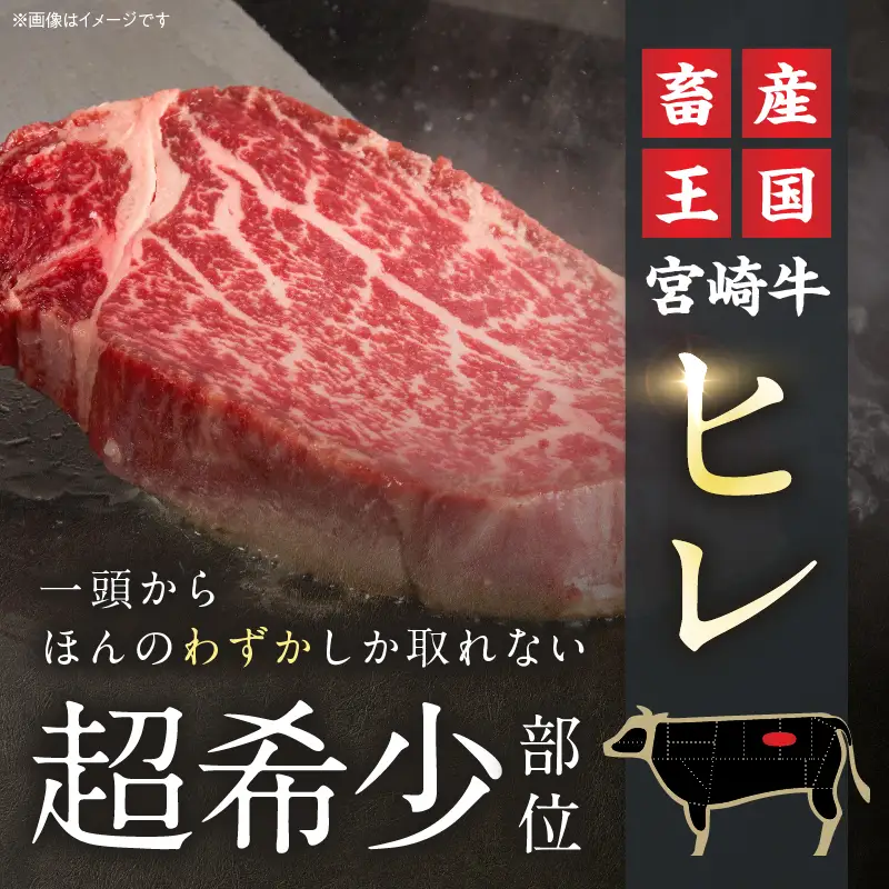 オンライン決済限定【令和8年8月配送】数量限定 超希少 宮崎牛 ヒレステーキ 計300g_DB46-26-08