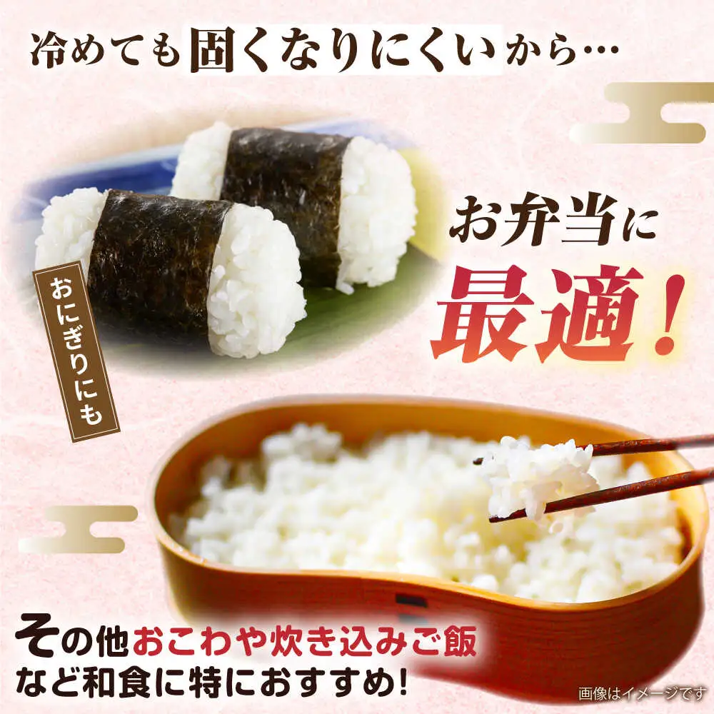 【全9回定期便】ミルキークイーン 10kg （ 5kg × 2袋 ） 糸島市 / 玄米・精米専門店 新飼宗一郎商店 米 白米 [ADE015]