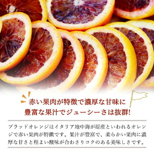 希少な柑橘!紀州有田産ブラッドオレンジ約3kg 【ご家庭用】※2027年3月上旬頃〜3月下旬頃に順次発送 (お届け日指定不可)【uot771】