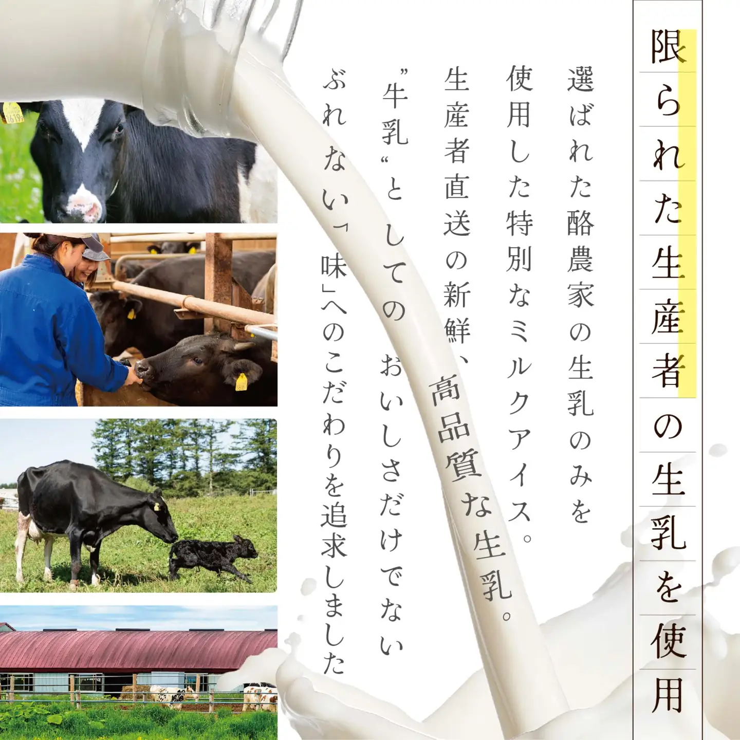 【隔月定期便】【THE ICE】いちごケーキ6個セット×3回定期便【be003-1070-200-3】（J FARM AMUSE 株式会社）（ あいす アイス アイスクリーム いちご イチゴ 苺 北海道 別海町 人気 ふるさと納税 ）