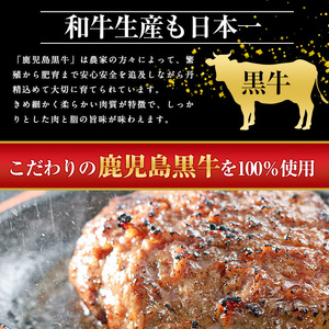 鹿児島黒牛特選ハンバーグ6個入り【nixy中山亭】chuzan-7011