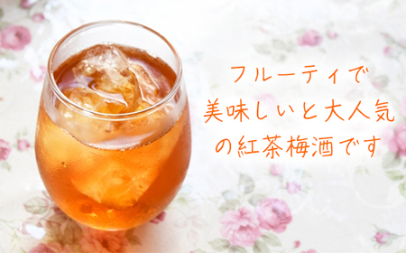 ちえびじん 紅茶梅酒+ちえびじん レモンティー セット【中野酒造】 紅茶 梅酒 和紅茶 飲み比べ 人気 ギフト 美味しい おすすめ ランキング ＜110-015＞