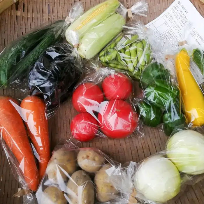 ご家庭向けお野菜セット～旬のおまかせBOX～2回お届け