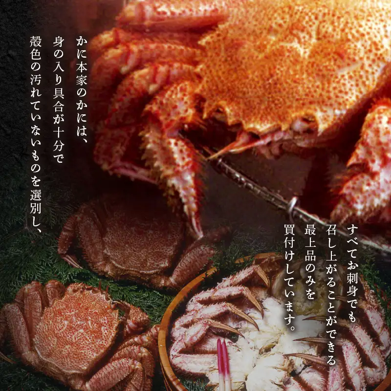 【14営業日以内に発送】【 ゆでたて 毛かに 約450 ～ 550g × 2尾 】 T007-001 魚介類 かに