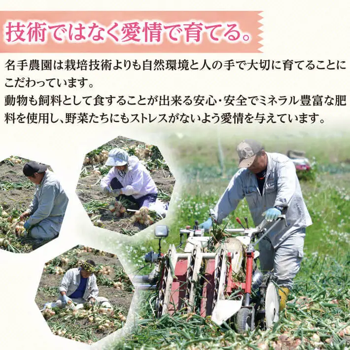 【定期便】名手農園の淡路島特産玉ねぎ(5kg)とお米(3kg)の10ヶ月コース