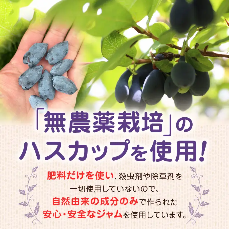 【 よいとまけ 3本 】 T044-004 スイーツ お菓子