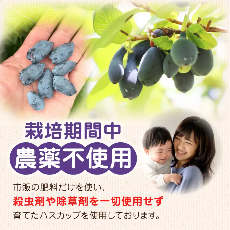 【 ハスカップジャム 2瓶 】 T044-008 果物 加工食品