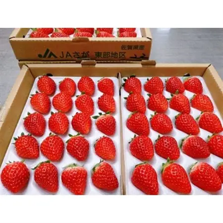 *冷凍*いちご大福(6個入り)_菓子・スイーツ 大福  だいふく ダイフク_【配送不可地域：離島】【1402046】