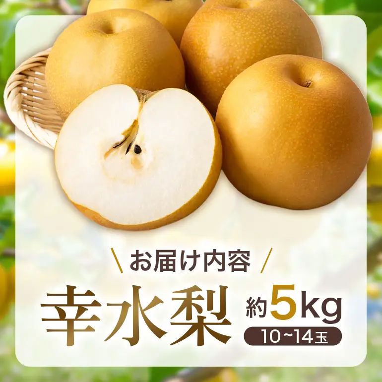 【ふるさと納税】【先行予約】幸水梨  5kg 10玉～14玉 なし【2026年8月上旬ごろ出荷開始予定】