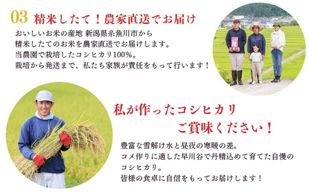 米【令和7年産】新潟県産「コシヒカリ」5kg  食味鑑定士お墨付き 2025年産 特別栽培米 甘みあふれる農家自慢の逸品 NUKUMORI ぬくもり 百姓や伝六