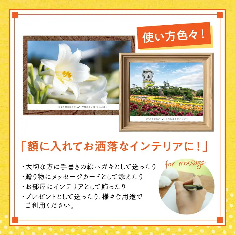 花と癒しの島！沖永良部島オリジナルポストカード（花編） W060-002u 雑貨 日用品