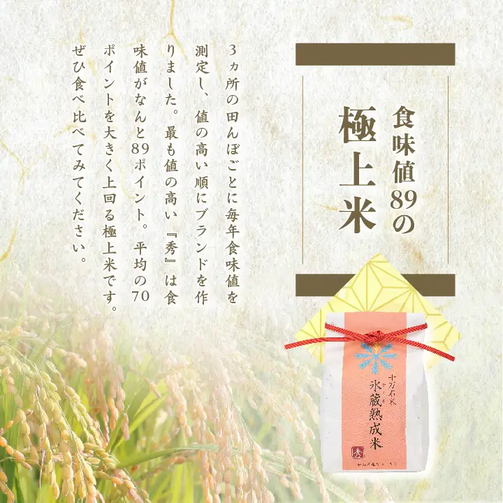 米 令和7年産 コシヒカリ 精米2kg（伝統）【株式会社Y&Tカンパニー】