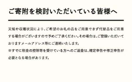 《先行予約》2027年産 山形県産 紅さやか バラ詰め(パック）500g M-L やまのべ多田耕太郎のさくらんぼ サクランボ F21A-393