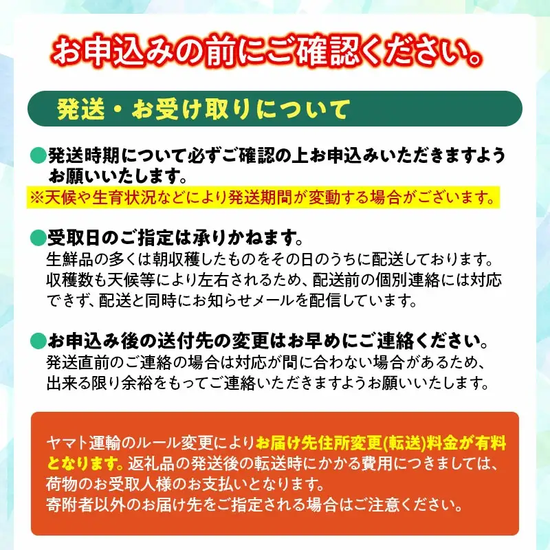 【令和8年産先行予約】 シャインマスカット 約2kg (3～4房) 山形県鶴岡市　伊藤農園