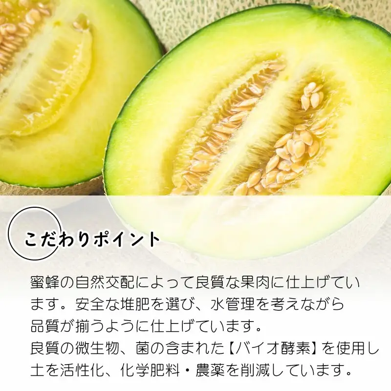 【令和9年産】 アンデスメロン 約5kg(3～5玉) 山形県鶴岡産 庄内砂丘メロン 白砂ファーム
