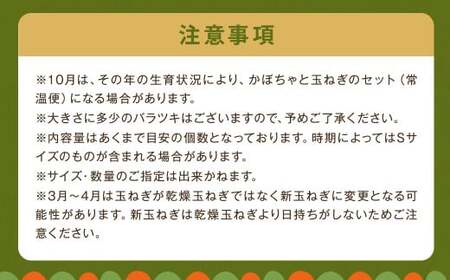 【定期便 3回コース】定番野菜セット定期便 どっさり！約10kg×3回コース じゃがいも 玉ねぎ にんじん かぼちゃ
