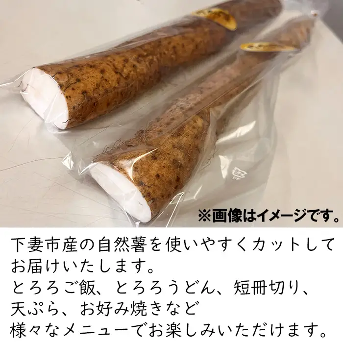 自然薯 約1kg ( カット済 ) ※重量（ 約1kg ）に合わせてお届け 2026年12月～2027年3月ごろ発送予定