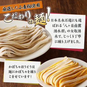 ほうとう2人前セット　煮込み・かぼちゃ [h096]