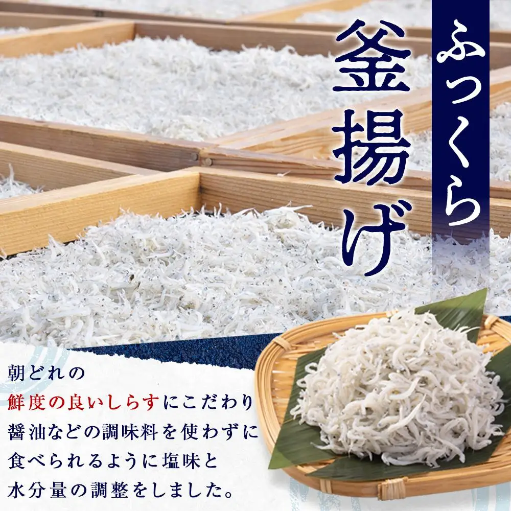 産地直送 ふっくら釜揚げ しらす 800g （ 冷蔵 ）