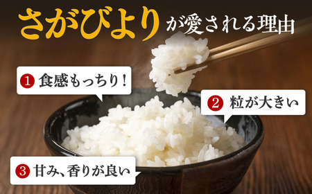 〈受付一時停止中〉【数量限定】【12回定期便】【令和5年産】さがびより 計60kg（5kg×12回）吉野ヶ里町/増田米穀 [FBM038]