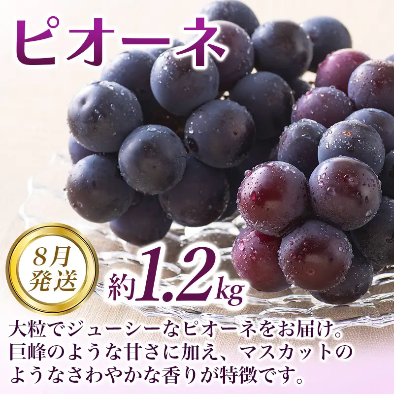 【全3回定期便】和歌山の旬のフルーツ定期便！人気の桃・ピオーネ・梨をお届け♪ 【tkb306】