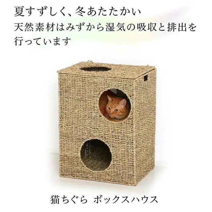 キャットプレイハウス 猫ハウス AKU1006731
