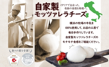 チーズ 定期便 3ヶ月 詰め合わせ 各2個 フレッシュ チーズ