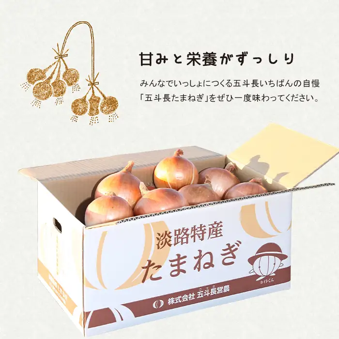 五斗長玉ねぎ 5kg　玉ねぎ