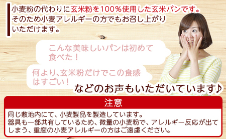 グルテンフリー玄米パン 2個 - 食パン ブレッド 小麦粉不使用 ヴィーガン アカリビーガン an-0011