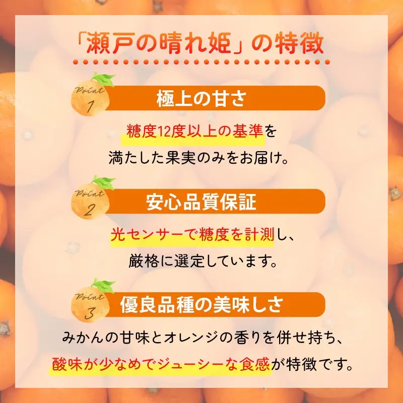 【先行予約】瀬戸の晴れ姫4kg みかん 愛媛みかん 今治市
