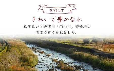 【令和6年産】食味値が高く栽培期間中低農薬のコシヒカリ5kg 兵庫県 朝来市 AS4B15