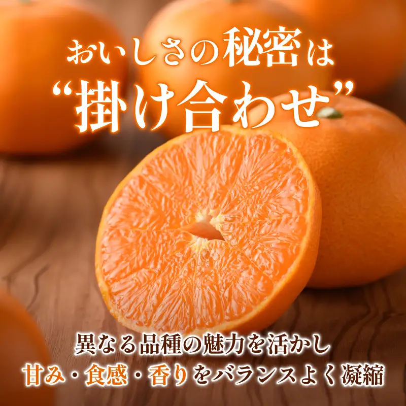 【先行予約】せとか（贈答用） 化粧箱 3L～L 10～15玉