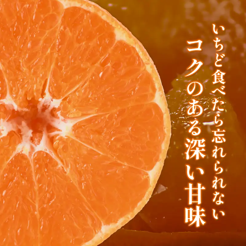 【先行予約】 甘平（贈答用）化粧箱 4L～2L 8～12玉