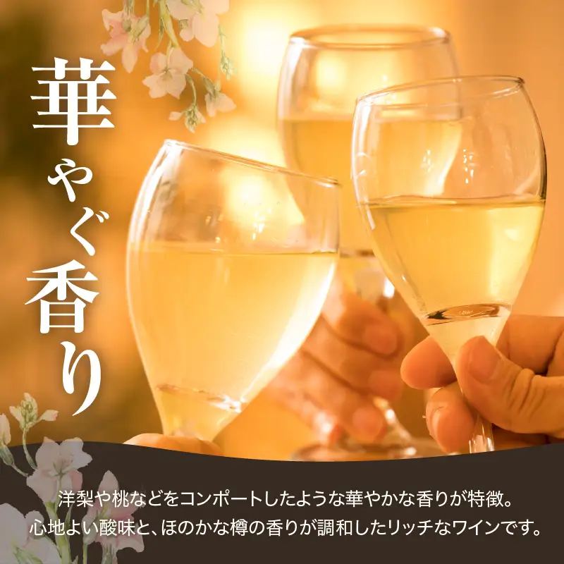 ケルナー プライベートリザーブ2020【キャメルファーム】_Y020-0736