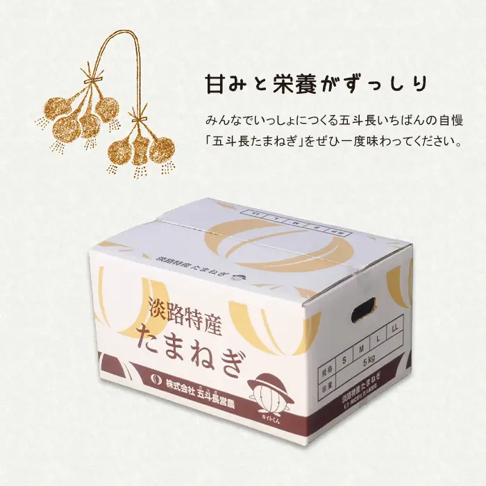 五斗長玉ねぎ 10kg　玉ねぎ