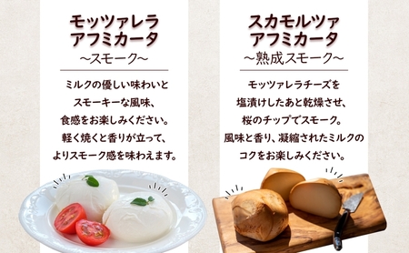 チーズ 定期便 12ヶ月 4種 詰め合わせ 茅ヶ崎 手作り チーズ