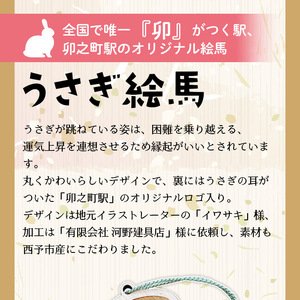 うさぎ絵馬5個セット URB0008