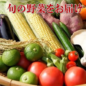 近江牛 すき焼き セット 和牛 黒毛和牛 肉 野菜 旬野菜 やさい 卵 割り下 すきやき 竜王産 滋賀県 竜王町 岡喜牧場 送料無料