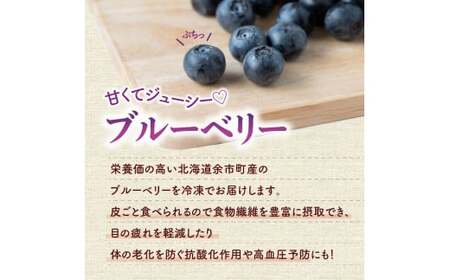 冷凍ブルーベリー 250g×4パック×2箱 合計2kg 北海道産 甘くてジューシー 余市産 冷凍 栄養価 冷凍フルーツ 果物__Y010-0345