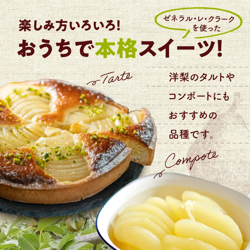 【先行受付：2026年10月中旬以降発送分】洋梨（ゼネラル・レ・クラーク） 5kg 香り豊か 甘味が強い 程よい酸味 北海道 余市 季節限定 フルーツ デザート_Y010-0654