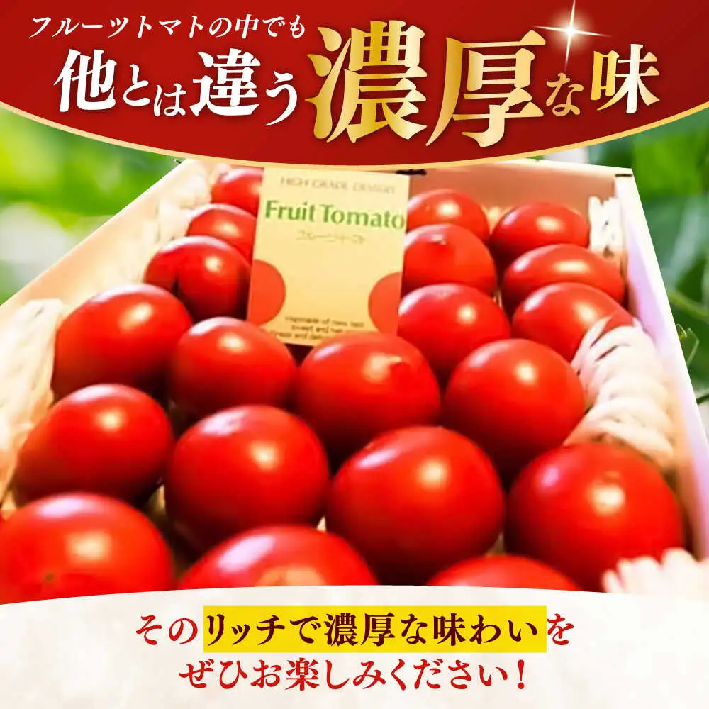 【先行予約】 高知県高知市産 贅沢フルーツトマト 約2kg 〈2027年2月初旬～5月中旬まで発送〉 / トマト とまと フルーツトマト 2kg 2キロ 野菜 果物 サラダ お弁当 デザート 【片山農園】 [ATCI001]