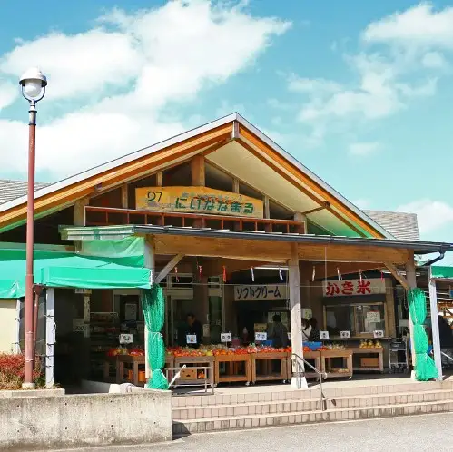 【令和6年産】＜新米・8月発送開始＞ 農家自慢のお米 5kg 鹿児島県南さつま市産 鹿児島県産 コシヒカリ ヒノヒカリ 米 白米 お米 おこめ コメ 精米