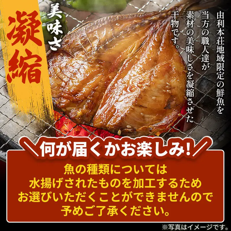 干物の玉手箱 5～6枚