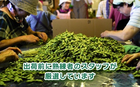 【令和8年産先行予約】山形セレクション認定　だだちゃ豆 「白山だだちゃ」 1.2kg（600g×2袋）　山形県鶴岡市　白山ちゃ茶農園　K-831　| だだちゃ豆 枝豆 えだまめ 豆 1.2キロ 夏の味覚 おつまみ 旬の野菜 期間限定 名産品 ビールのお供 手土産 山形県 庄内 東北 返礼品