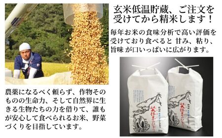 令和6年産 新潟県産コシヒカリ10kg 笑穂志(えぼし)のひかり 2024年産 糸魚川 新潟産こしひかり10kg  コシヒカリ こしひかり 精米 白米 おすすめ Ｕ’ファーム